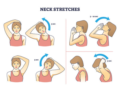 Neck stretches instructions for correct head and shoulder posture outline diagram, transparent background. Labeled educational physical rotation, pulling and bending activity.