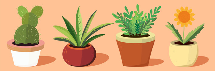 Set of house plants in pots. Plants for home decoration.