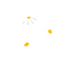 Daisy flower ornament 