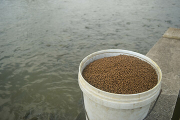 floating pellet food fish on farm