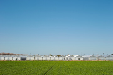 greenhouse in the countryside