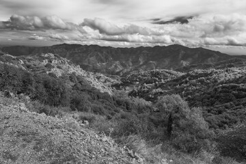 Teisa Tis Madaris Nature trail. located at the highest point of Adelfoi mountain in Troodos, the most popular high-altitude trail in Cyprus 