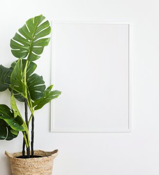 decorative plant with empty frame. High quality and resolution beautiful photo concept