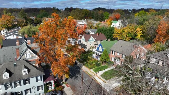 Colorful autumn trees among suburban homes in USA town in New England region. Aerial perspective.