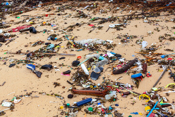Garbage on sea beach, dirty ocean water, environmental pollution, ecological problem, waste management, junk recycle, unsorted rubbish, plastic bag, glass bottle, metal can, trash, refuse pile, litter