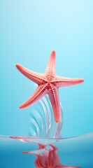 Fototapeta na wymiar Starfish on the beach.