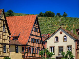 Traditional half timbered houses and grapevines in a vineyard on a hill in a popular village on the...