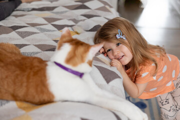 toddler girl is interested cat, children and pets at home, authentic emotions and interaction, empathy in child - obrazy, fototapety, plakaty