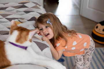toddler girl is interested cat, children and pets at home, authentic emotions and interaction,...