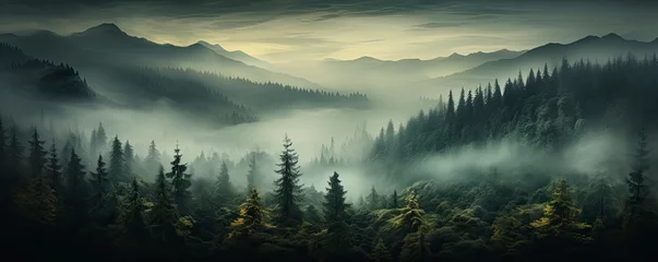 Papier Peint photo Forêt dans le brouillard Evergreen forest foggy, Generative AI