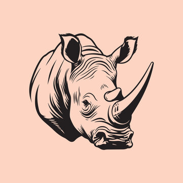 Rhinoceros Image Vector, illustration of a rhinoceros