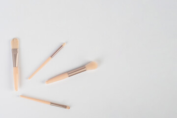 Cosmetic brushes on white background. Set of makeup brushes