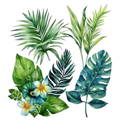 Vector illustration of watercolor-style tropical leaves, including palm leaves, flowers, jungle leaves, philodendron, banana leaves, and monstera leaves. Isolated on a white background.
