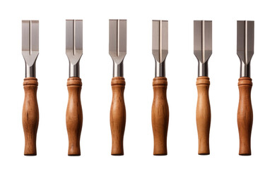 Display Deligh On a White or Clear Surface PNG Transparent Background.