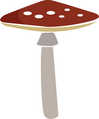 fly agaric mushroom isolated