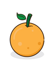 Orange Vector Illustration