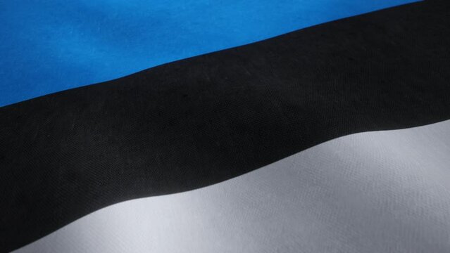Video animation of a waving Estonian national flag in a seamless loop.