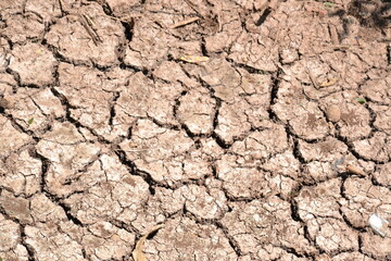 Drought Land
