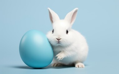 Fototapeta premium Adorable bunny and Easter egg