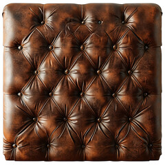 Naklejka premium Leather Sofa Cushion