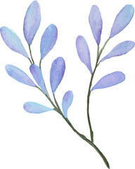 Watercolor purple flower arrangement