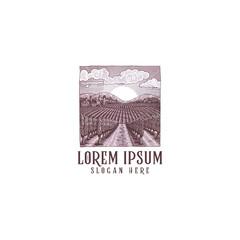  vineyard hand-drawn design, illustration, vine yard vintage logo design