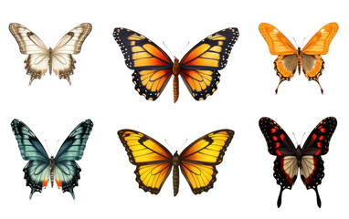 Butterflies on Transparent Background