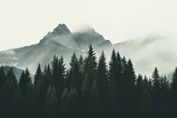 mountains in the fog surrounded by trees