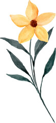Watercolor yellow flower arrangement