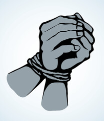 Roped bound hands. Vector drawing