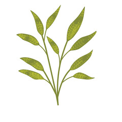 Summer Green Leaves Element 