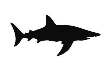 A hammerhead shark silhouette Vector isolated on a white background - obrazy, fototapety, plakaty