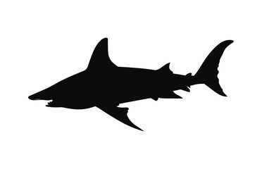 A hammerhead shark Vector black silhouette