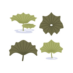 set of lotus green leaves