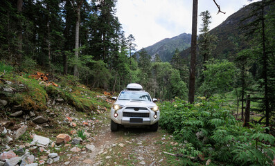 Driving White 2020 Toyota 4Runner TRD in high altitude forest trail, China
