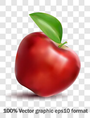 realistic healthy red apple with leaf. Vector in eps 10 format, no raster effects