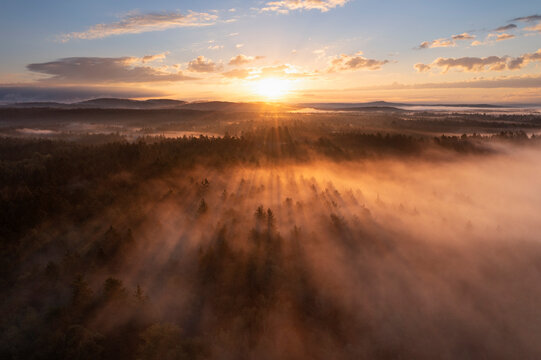 Germany, Bavaria,Aerial view of forest at foggy autumn sunrise