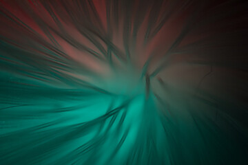 Background with neon abstraction