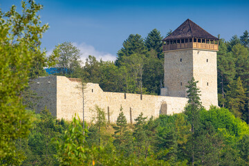 Fototapeta na wymiar Muszyński zamek po renowacji latem. Widok na zamek i okolicę.