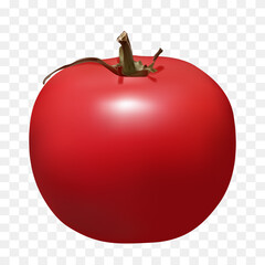 Tomato 3D. Vector realism. Vector clipart isolated on transparent background.