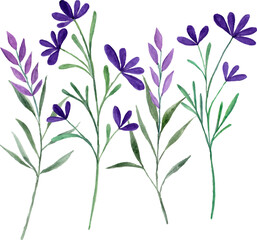 Watercolor purple flower