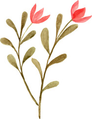 Watercolor pink wildflower