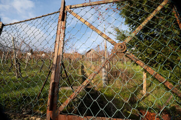 Alter Weinberg im Winter in Stuttgart Feuerbach © Arnulf