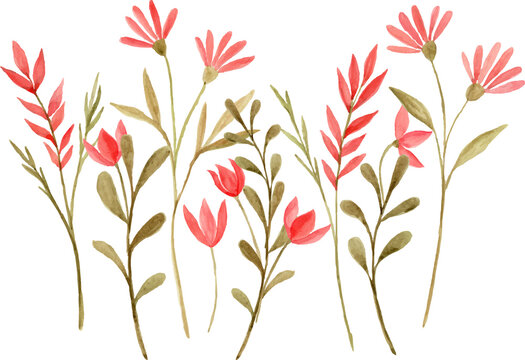 Watercolor pink wildflower