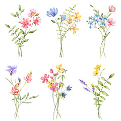 Wild flowers set, watercolor hand painting, digital floral illustration. Flower bouquets background.