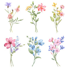 Obraz na płótnie Canvas Wild flowers set, watercolor hand painting, digital floral illustration. Bouquets background.