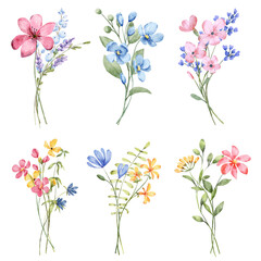 Wild flowers set, watercolor hand painting, digital floral illustration. Bouquets background.