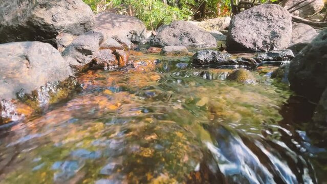 A stream flows quickly in a green forest in summer. A small waterfall emerged from beneath the rock. with crystal clear water Take photos in slow motion