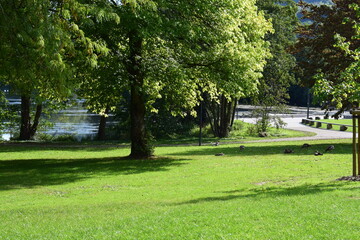 park in Luxembourg during early autumn