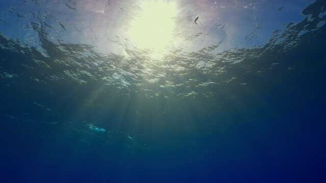 View of the surface, of the ocean light playing with the waves from the underwater diving point of view 